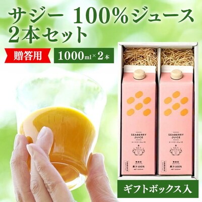 サジージュース 100% 1000ml×2本 [ギフト用] | サジー シーベリー _DX14