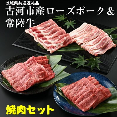 古河市産ローズポーク&常陸牛『焼肉セット』〈茨城県共通返礼品〉 | 肉 牛肉 豚肉 _AD10