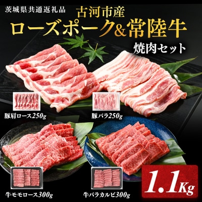 古河市産ローズポーク&常陸牛『焼肉セット』〈茨城県共通返礼品〉 | 肉 牛肉 豚肉 _AD10