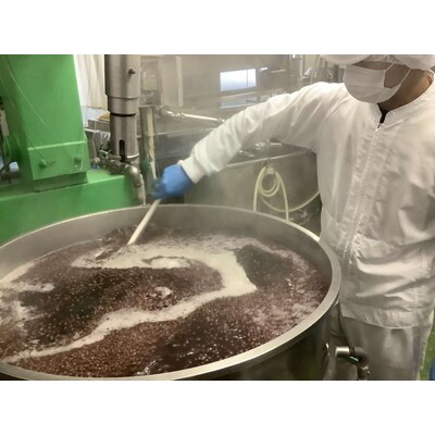こし練り餡 1kg | あんこ あん 餡 こしあん こしあんこ おいしい 便利 簡単 _EL03