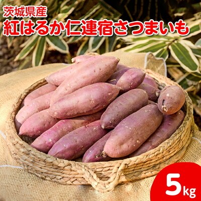 【2025年12月～発送】【サイズミックス】茨城県産紅はるか仁連宿さつまいも5kg _FP01