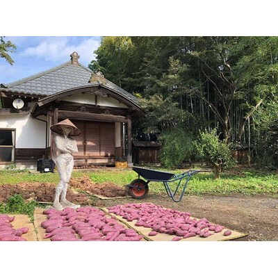 【2025年12月～発送】【サイズミックス】茨城県産紅はるか仁連宿さつまいも5kg _FP01