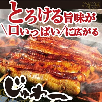 うなぎ蒲焼き&白焼きセット(蒲焼き:160g×2・白焼き:160g×2) | うなぎ _AT06