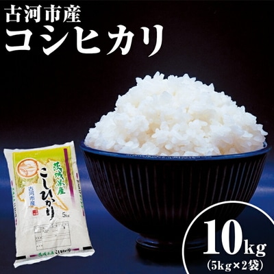 令和6年産 10kg 関東平野で育った古河市産コシヒカリ 10kg (5kg×2袋) _DG02