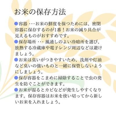 令和6年産 10kg 関東平野で育った古河市産コシヒカリ 10kg (5kg×2袋) _DG02