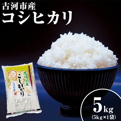 令和6年産 5kg 関東平野で育った古河市産コシヒカリ 5kg (5kg×1袋) _DG03