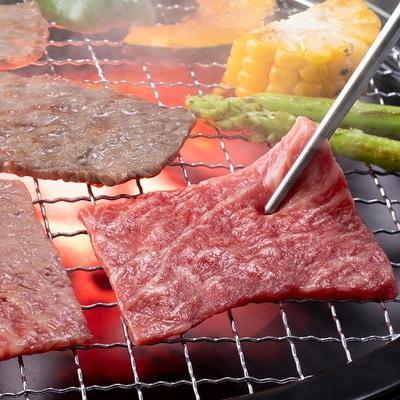 古河市で育った常陸牛!赤身(モモ・カタ)焼肉用700g | 肉 牛肉 700グラム _AO02