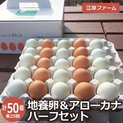江原ファーム 地養卵&アローカナハーフセット 計50個 割れ補償 | 卵 50個 _AG08