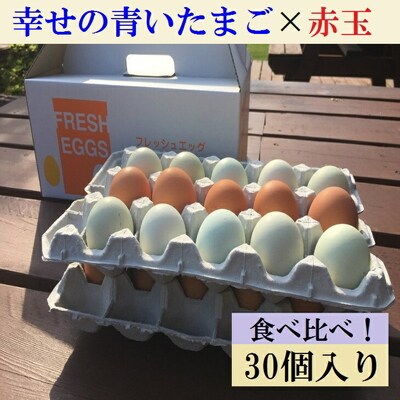 江原ファーム 地養卵&アローカナハーフセット 計30個 割れ補償 | 卵 30個 _AG07