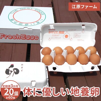 【定期便3か月】 江原ファーム 体に優しい地養卵(20個)|卵 たまご タマゴ _AG22