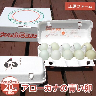 【定期便3か月】 江原ファーム アローカナの青い卵(20個)|卵 たまご タマゴ _AG28