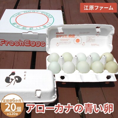 【定期便6か月】 江原ファーム アローカナの青い卵(20個)|卵 たまご タマゴ _AG29