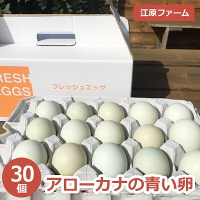江原ファーム アローカナの青い卵 30個 割れ補償 | 卵 30個 玉子 たまご _AG01