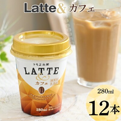 latte& カフェ 12本 | ラテ ミルクラテ らて 珈琲 コーヒー coffee _DT03