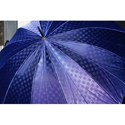 雪華模様のオリジナル傘(サイズ60cm)「もらっても、贈っても喜ばれる傘」ネイビー _BL06