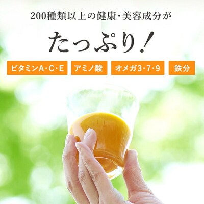 【定期便9カ月】サジー グアマラルサジー 1000ml 毎月1本9カ月コース _DX28