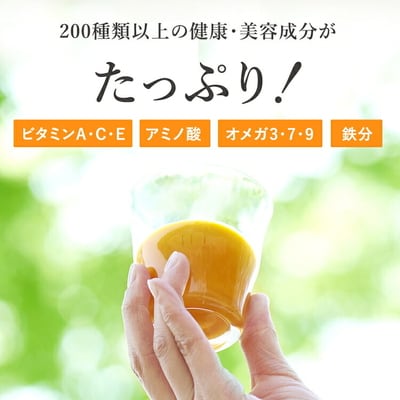 【定期便10カ月】サジー グアマラルサジー+ゆず 1000ml 毎月1本10カ月コース _DX34