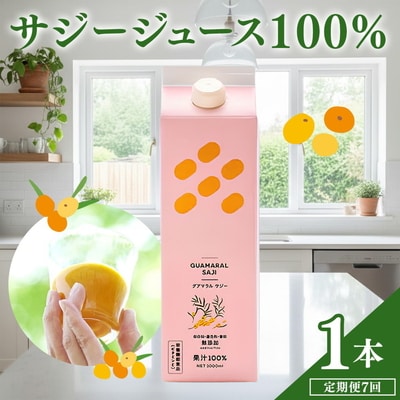 【定期便7カ月】サジー グアマラルサジー 1000ml 毎月1本7カ月コース _DX26