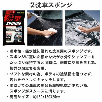 愛車のお手入れに!アイオンカーケア用品セット | 清掃 掃除 スポンジ 雨 洗車 吸水 _BW05