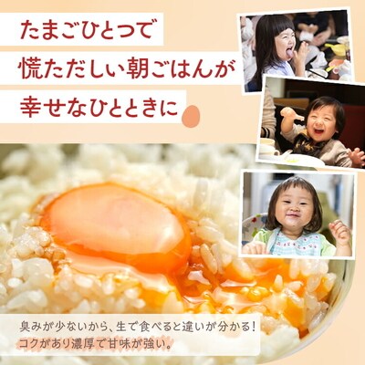 【6ヶ月定期便】小久保ファーム 濃厚卵黄 産みたてたまご 赤玉30個入り(M玉) _EI06