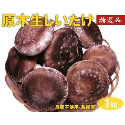 原木生しいたけ 1kg 特大厚肉品 特選品 贈答用 農薬不使用 脱炭素 _DR02