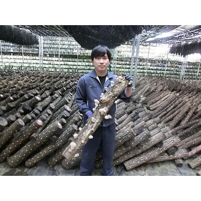 原木生しいたけ 1kg 特大厚肉品 特選品 贈答用 農薬不使用 脱炭素 _DR02