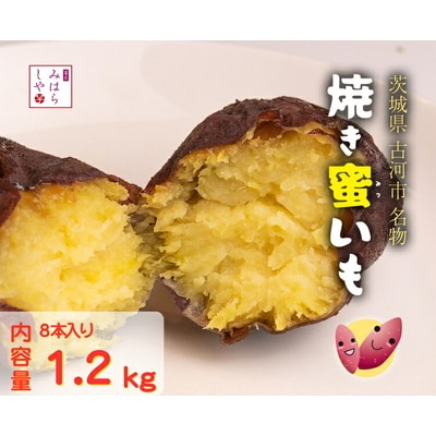 【スイーツのような甘さ】焼き蜜いも(1.2kg) | スイーツ 芋 いも イモ やきい _DP12