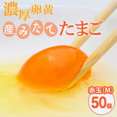 小久保ファーム 濃厚卵黄 産みたてたまご 赤玉50個入り(M玉) | 卵 50個 赤玉 _EI02