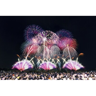 まくらがの里 ふるさと古河応援寄附金5,000円【返礼品なし】 _CV05