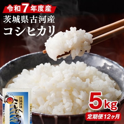 【定期便 12か月】令和7年産 古河市産コシヒカリ 5kg | 米 こめ コメ _DP36