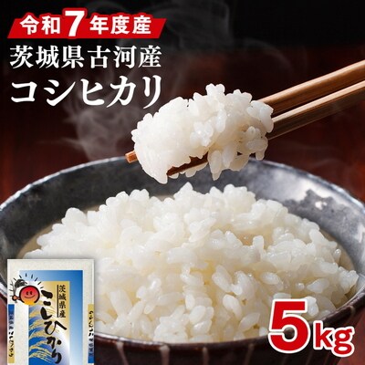 令和7年産 古河産コシヒカリ(5kg) | 米 こめ コメ ※2025年9月～発送 _DP07