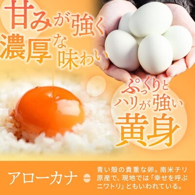関匠卵 ひびき+アローカナハーフセット(計20個) | 卵 20個 食べ比べ 玉子 _CP06