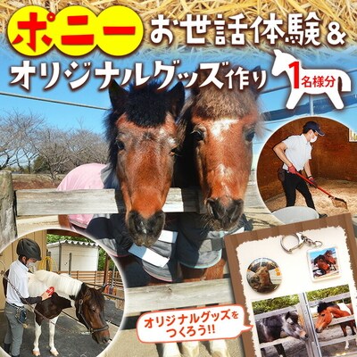 ポニーお世話体験&オリジナルグッズ作り 1名分 | ネーブルパーク ポニー _DP96