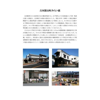 ふるさと古河 空き家管理サポート Aコース | 空き家 管理 見守り パトロール _DW01