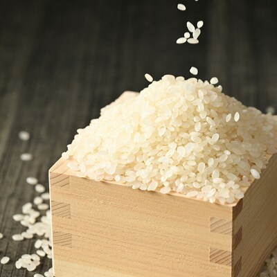【令和7年産】にじのきらめき 精米5kg【荒川アグリ】 | 米 ※2025年10月～発送 _DH04