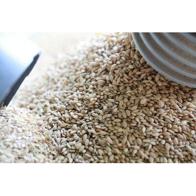 【令和7年産】にじのきらめき精米 15kg(5kg×3)【荒川アグリ】 _DH02