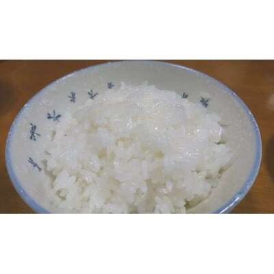 【令和7年産】にじのきらめき 精米20kg(5kg×4)【荒川アグリ】 _DH03