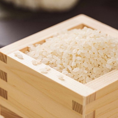 茨城県下妻市産虹のきらめき玄米10kg〈茨城県共通返礼品・下妻市〉 | 米 こめ コメ _DN03
