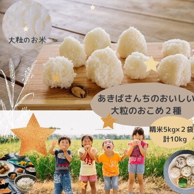 令和4年産 あきばさんちのおいしい大粒のおこめ2種(精米5kg×2袋)計10kg_CR01