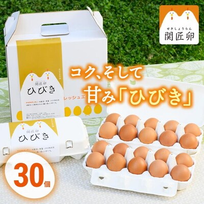 関匠卵 ひびき30個 | 卵 30個 赤玉 玉子 たまご タマゴ 生卵 鶏卵 生みたて _CP01