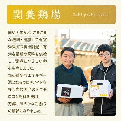 関匠卵 ひびき30個 | 卵 30個 赤玉 玉子 たまご タマゴ 生卵 鶏卵 生みたて _CP01