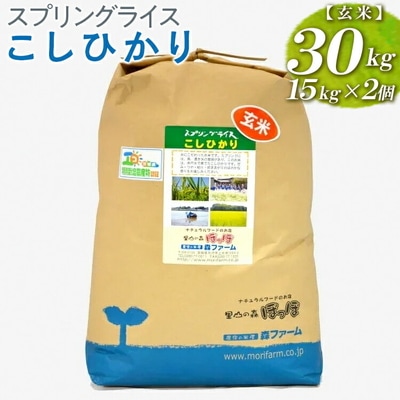 スプリングライス こしひかり (玄米)30kg(15kg×2個) | 米 こめ コメ _BI68