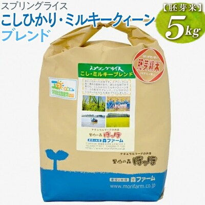 スプリングライス こしひかり・ミルキークィーン ブレンド (胚芽米)5kg | 米 _BI51
