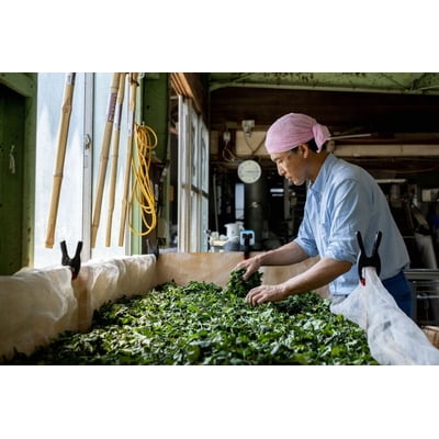 さしま茶・和紅茶 ティーバッグ6種セット 【創業1839年】【幻の品種】| お茶 紅茶 _BM08