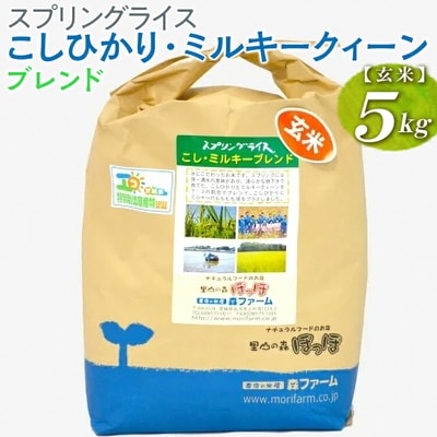 スプリングライス こしひかり・ミルキークィーン ブレンド (玄米)5kg | 米 こめ _BI69