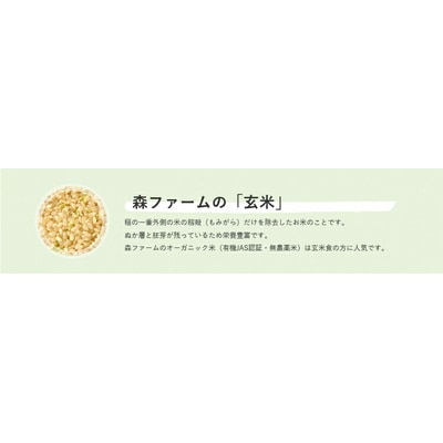 スプリングライス こしひかり・ミルキークィーン ブレンド (玄米)5kg | 米 こめ _BI69