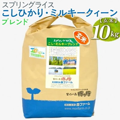 スプリングライス こしひかり・ミルキークィーン ブレンド (玄米)10kg | 米 _BI70