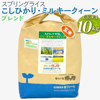 スプリングライス こしひかり・ミルキークィーン ブレンド (玄米)10kg | 米 _BI70