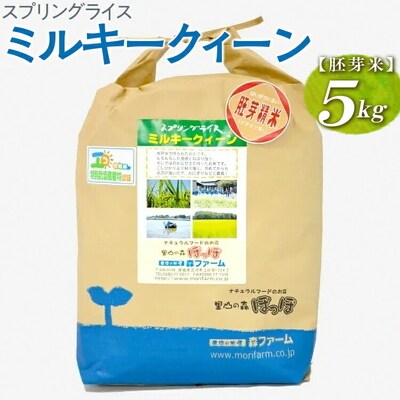 スプリングライス ミルキークィーン (胚芽米) 5kg | 米 こめ コメ 5キロ _BI47