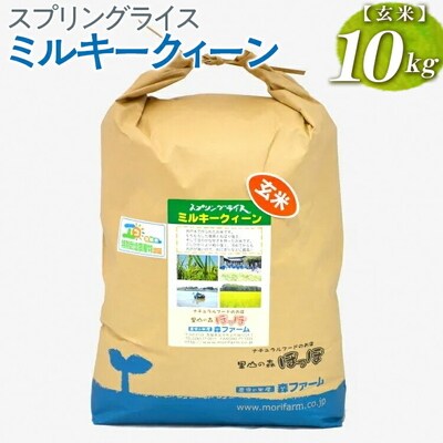 スプリングライス ミルキークィーン (玄米)10kg | 米 こめ コメ 10キロ _BI63